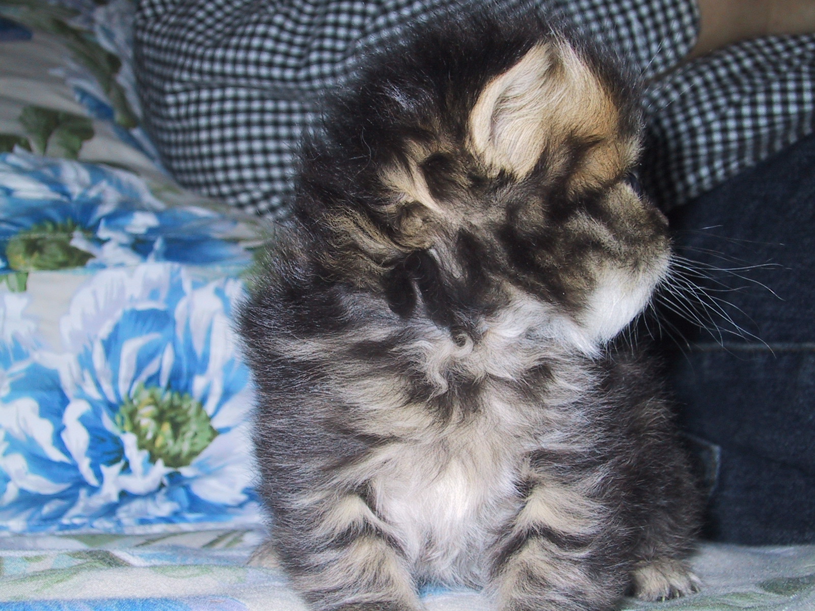 ���т���