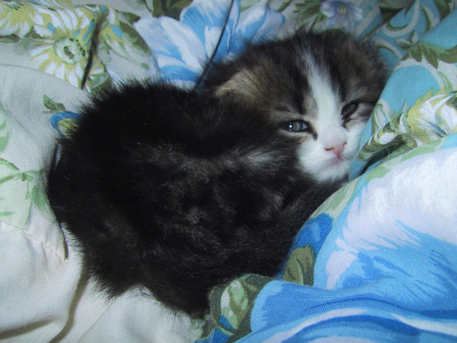 �}�����Q