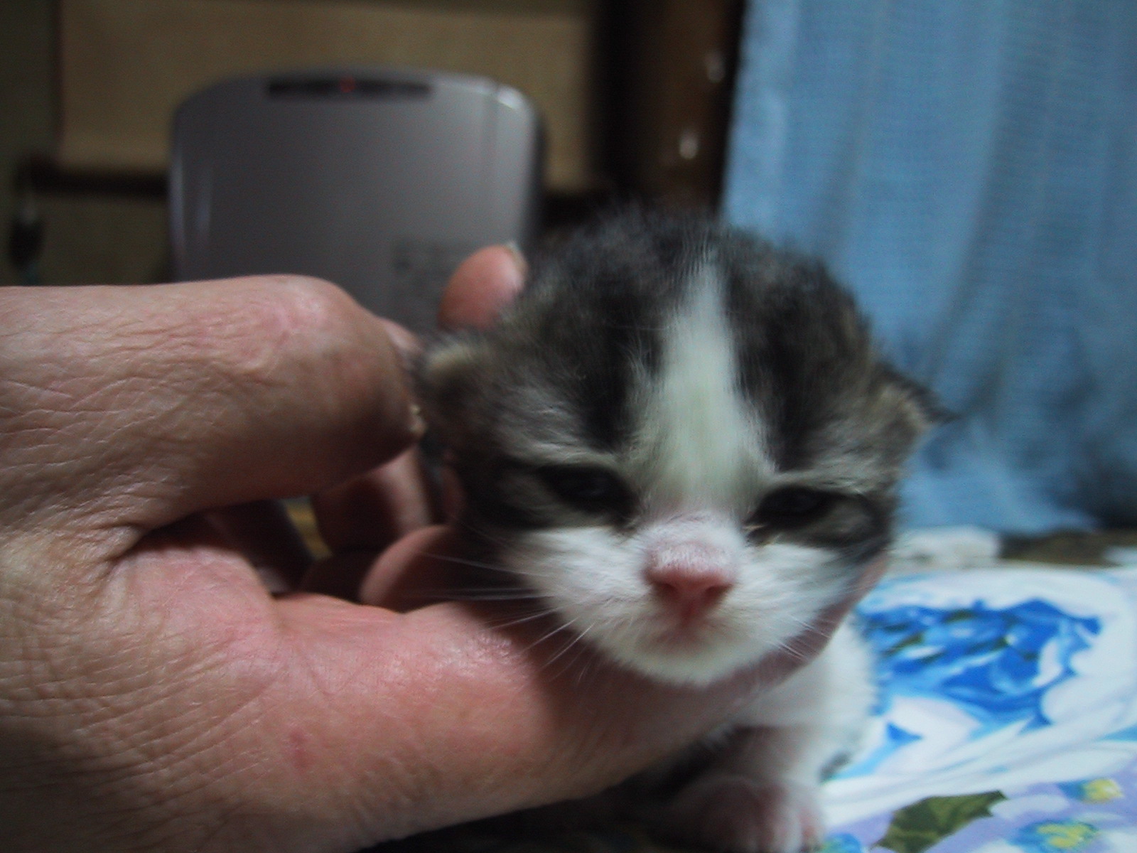 �}�����Q