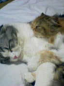 �l�������������l������