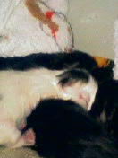 Baby�B�ł���